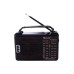 COLON RX-608ACW Ռադիո FM, HF, SW, VHF