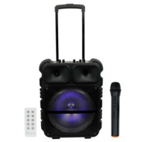 Portable speaker KTS-1163