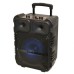 Portable speaker KTS-1163
